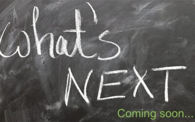 Our Audit Roadmap